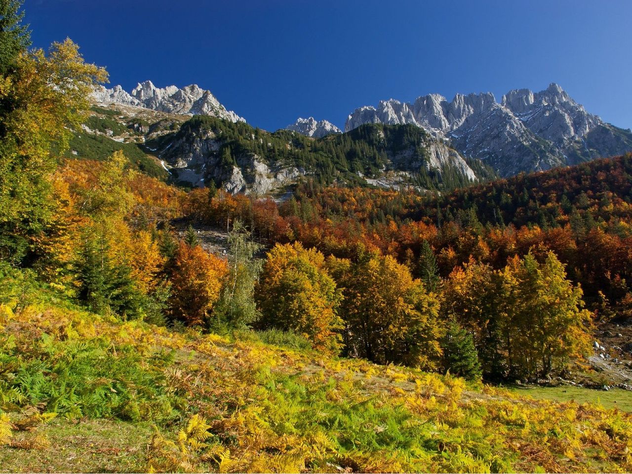 Herbstliche Schmankerl am Wilden Kaiser