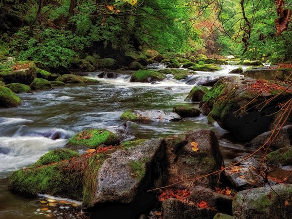 Auszeit im Harz inkl. HP I 5 Tage Kurz-Mal-Natur in Bad Lauterberg, Niedersachsen inkl. Halbpension