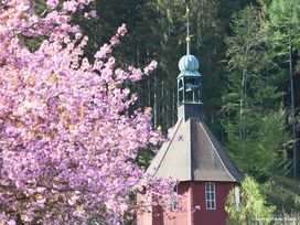 Gartenschau 2025 Freudenstadt inkl. Eintritt - 2 Tage