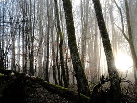 2 Tage Auszeit in der Rhön - Entspannen im Bio Hotel