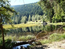 Genießertage im Bayerischen Wald mit Massage & HP