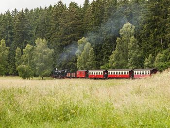 Für Liebhaber - 3 Tage inkl. romantischen Abendmenüs