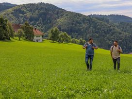 Wandern durch Wald und Reben - 4 Tage inkl Lunchpaket