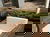 3 Tage Waldhotel in Brabant – Ruhe & Natur erleben