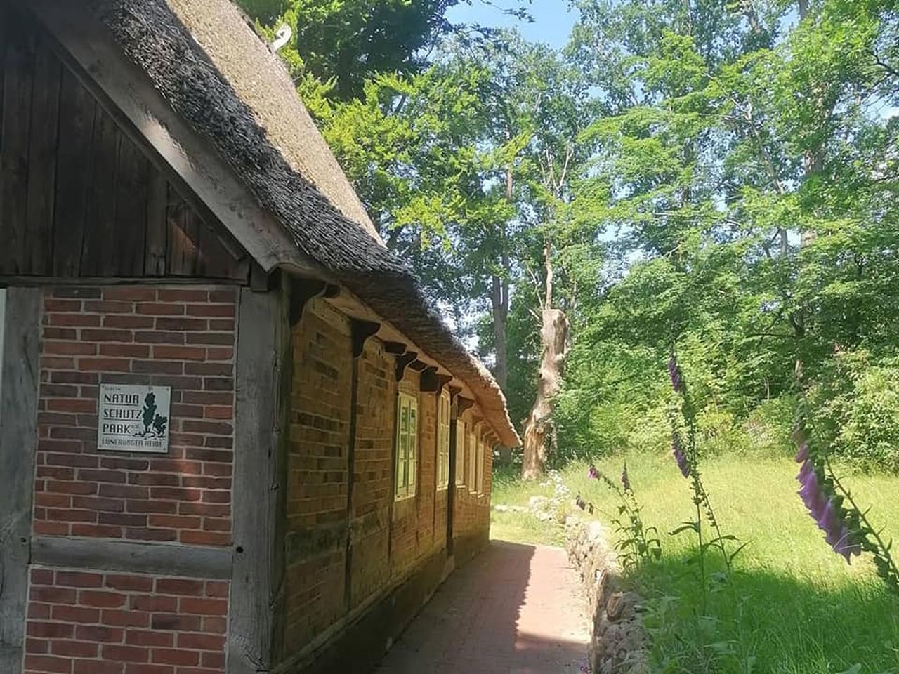 Wandern und Entdecken in der Lüneburger Heide