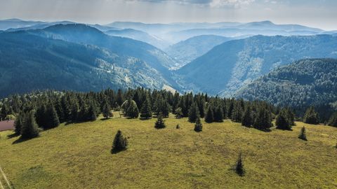 Feldberg im Schwarzwald