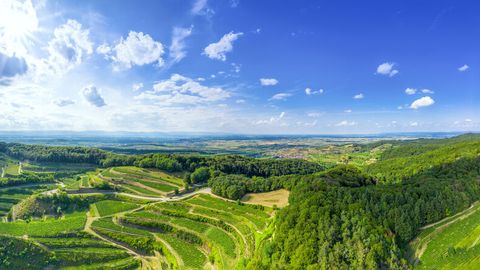 Kaiserstuhl