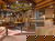 3 Tage Natur & Genuss zwischen Biesbosch und Breda