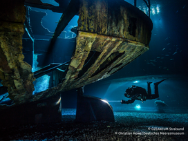 OZEANEUM Stralsund mit Ticket und Hotel