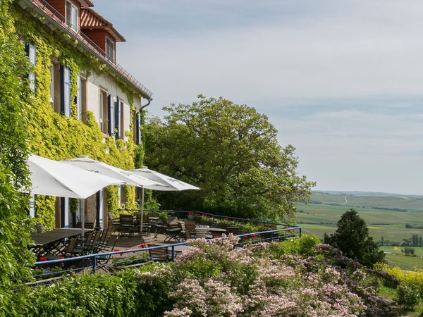 3 Tage Winterliche Träumerei im Weinberg in Sankt Johann (Rheinhessen), Rheinland-Pfalz inkl. Halbpension