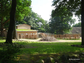 Zoo Schwerin mit Tageseintritt und Übernachtung