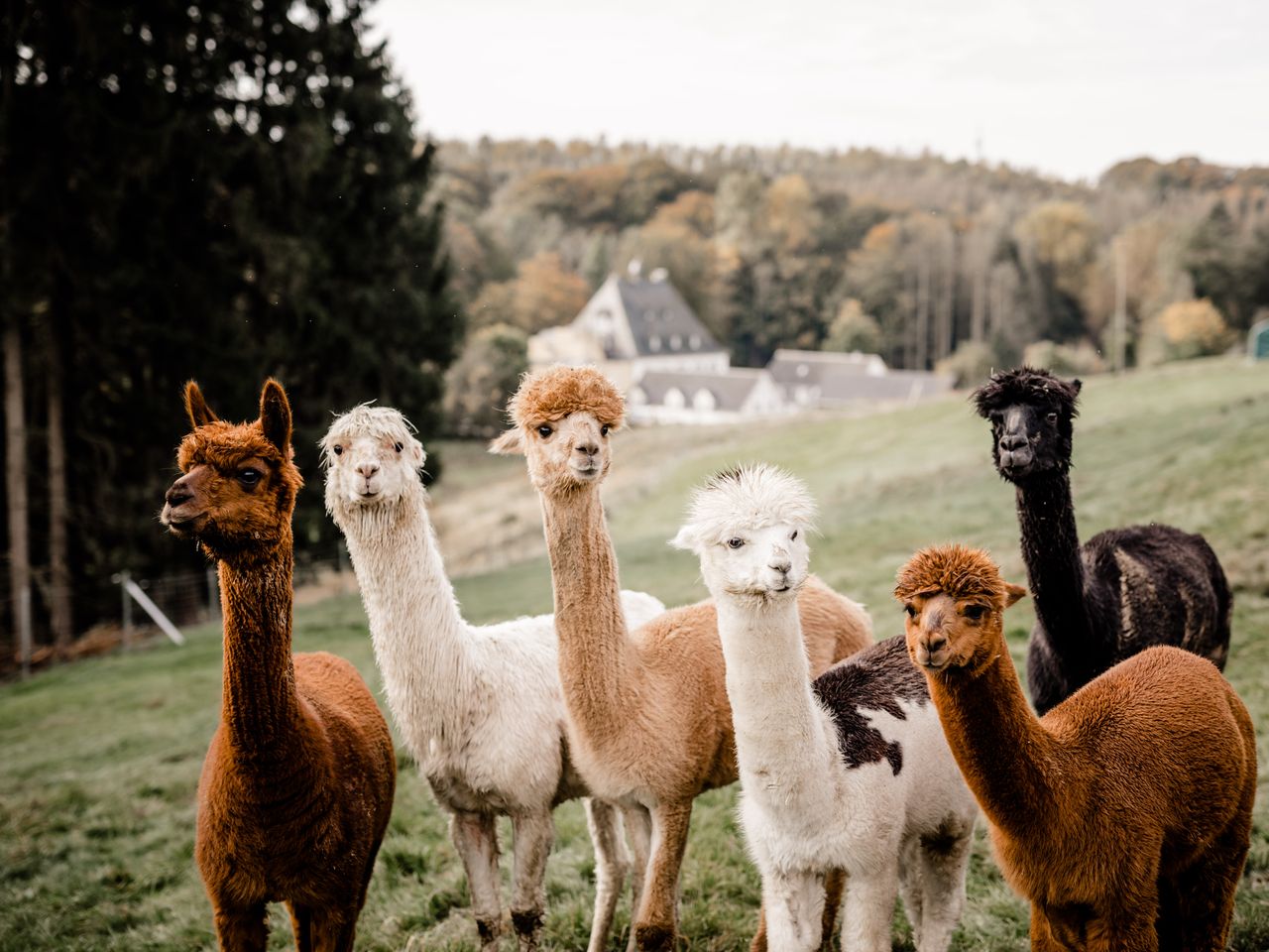 Freundschaftstrip ins Bergische Land