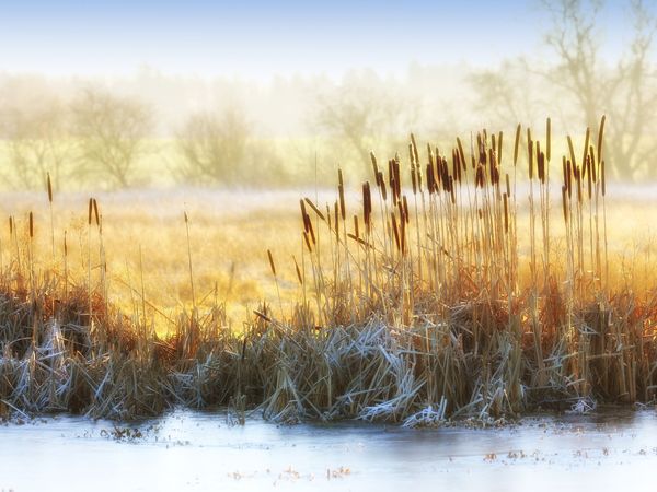 4 Tage Winter-Kurztrip ins Seehotel Brandenburg in Beetzsee OT Brielow inkl. Halbpension Plus
