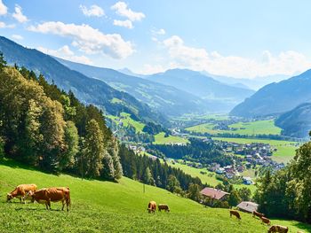 Schneevergnügen im Zillertal - 3 Nächte