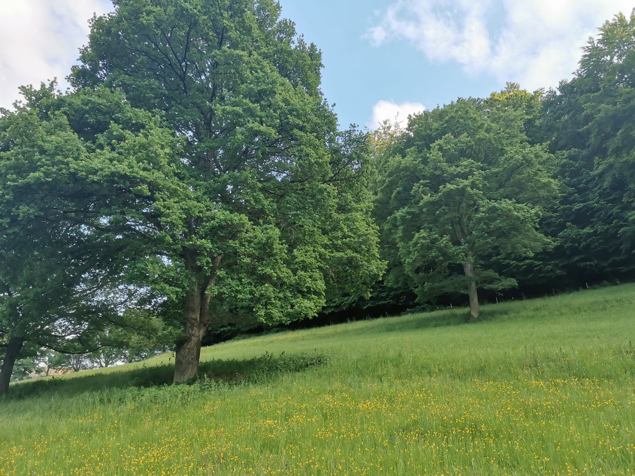 4 Tage Eifel genießen im Haus am See