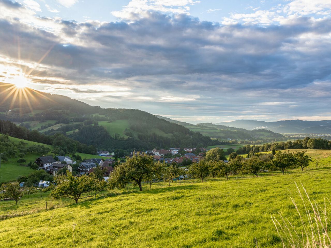 Braukunst in der Alpirsbacher Brauerei | 5 Tage