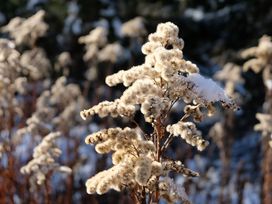 Wanderwoche im Odenwald - 5 Nächte