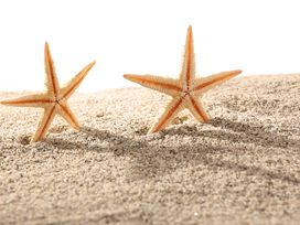 5 Tage Abschlaten im Hotel Heron mit Frühstück