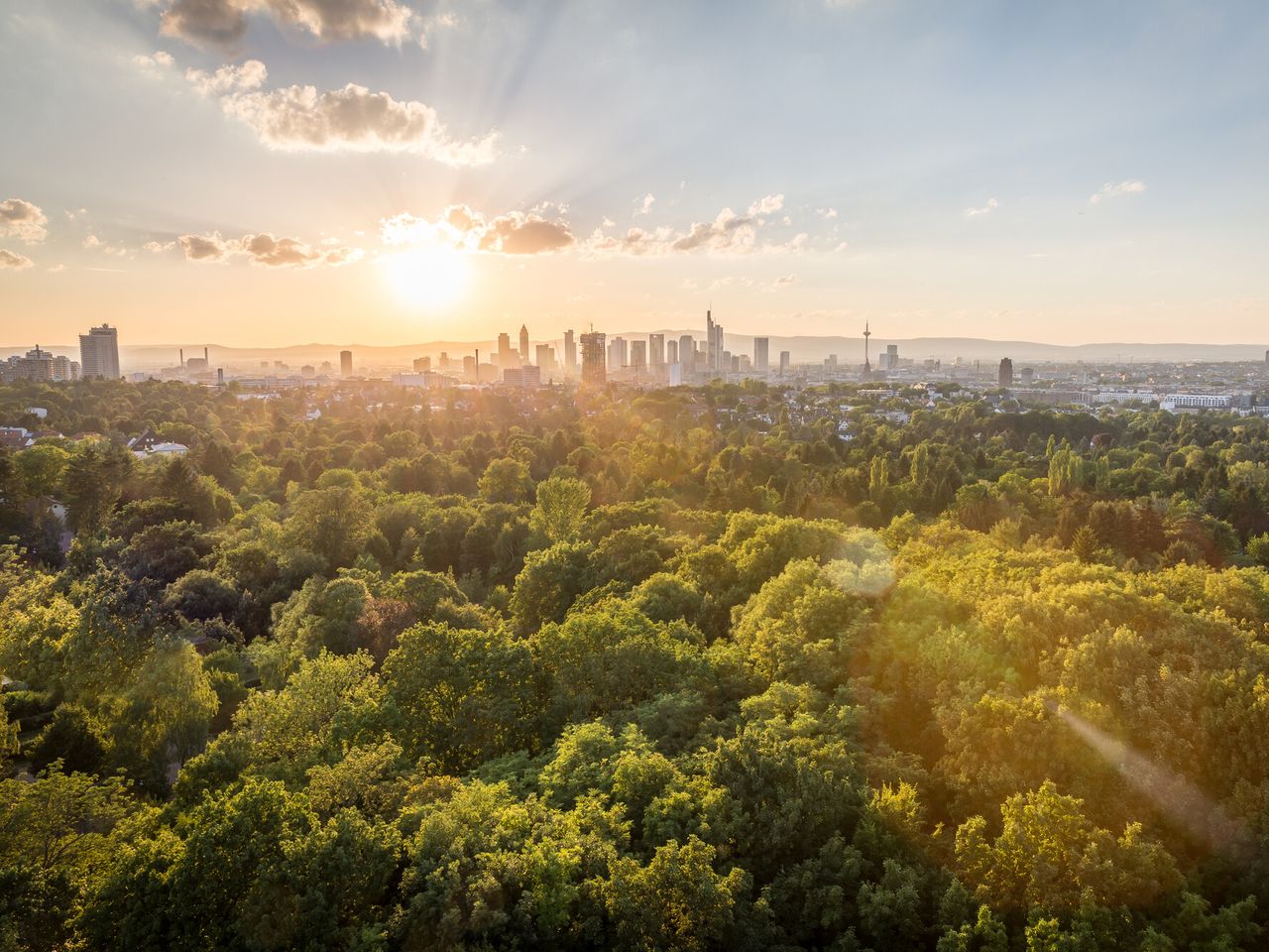 3 Tage Radtrip: Frankfurt und den Taunus entdecken