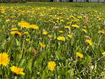 4-Tage-Auszeit in der Hauptstadt