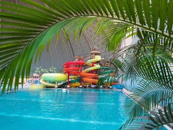 Tropical Islands Woodland Homes