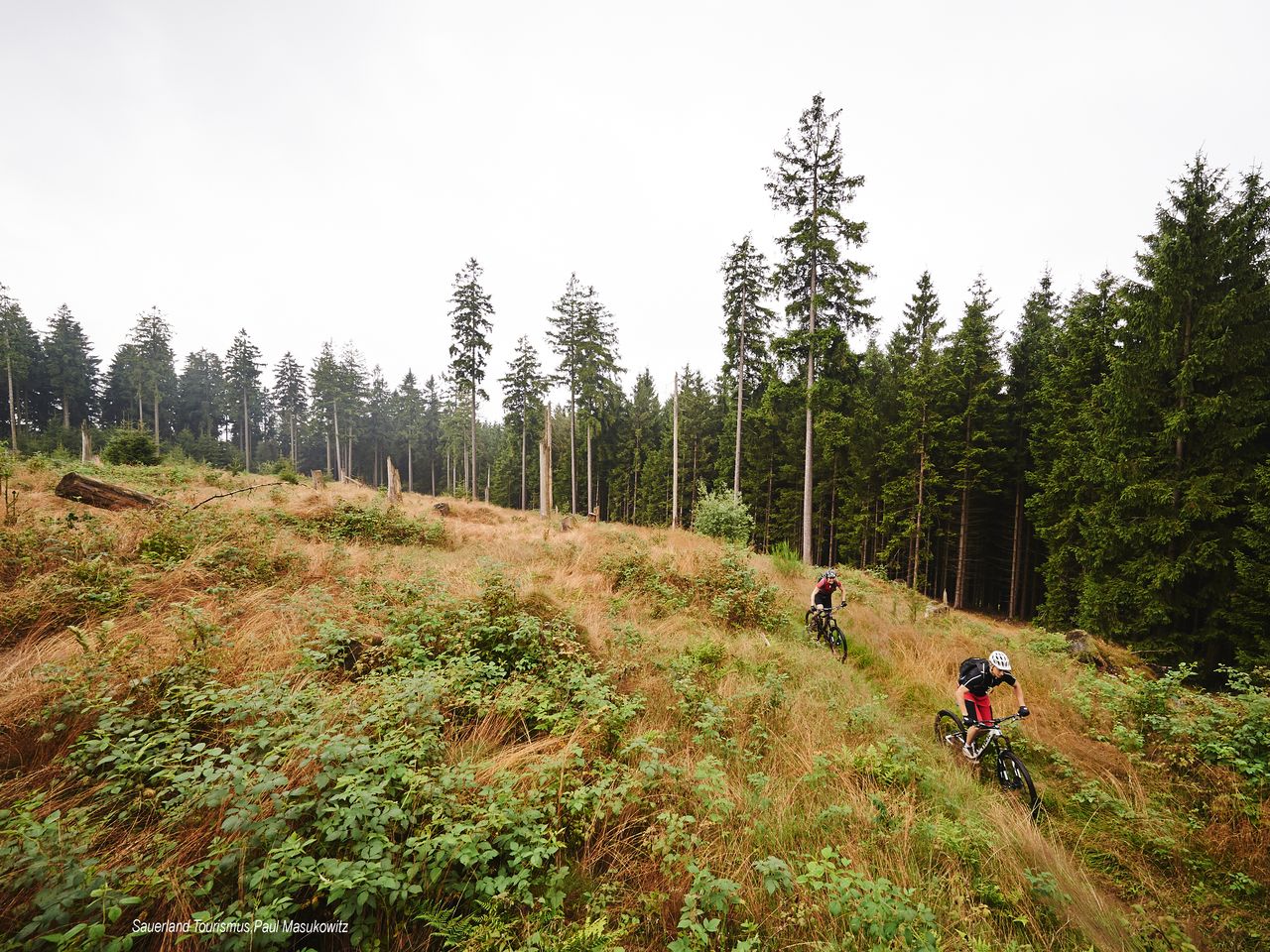 Rasante Tage im Bikepark Willingen / 4 Tage