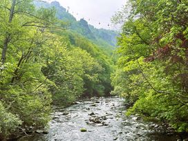 Romantische Pfingsttage im Harz inkl. Halbpension