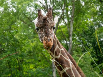 2 Tage Auszeit mit Zoo und Wellness im Saarland