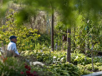 3 Tage Natur genießen mit der Landesgartenschau 2024