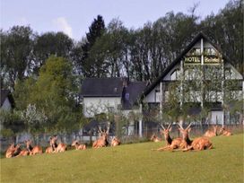 Solo Escape mit Frühstück