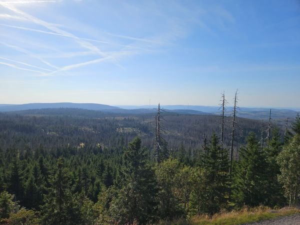 4 Tage Aktiv- und Wanderurlaub im schönen Harz in Braunlage, Niedersachsen inkl. Halbpension