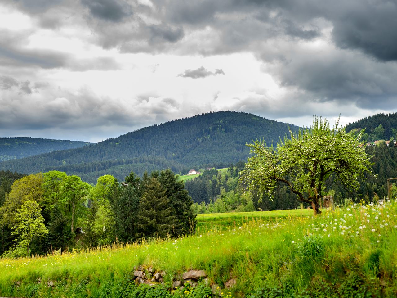 Zeit für 2 im romantischen Schwarzwald mit Wellness