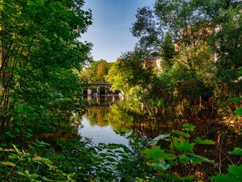 Braunschweig entdecken - 2 Tage