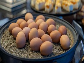 2 Tage im Best Western Plus Plaza