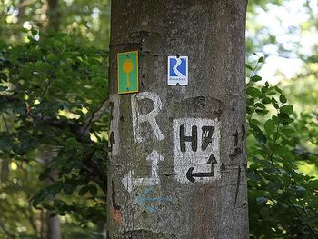 3 Tage Rosen-Wellness für Zwei