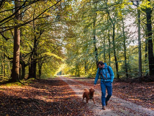 Urlaub mit Hund – ein tierisch guter Urlaub | 5 Tage in Bad Laasphe, Nordrhein-Westfalen inkl. Frühstück