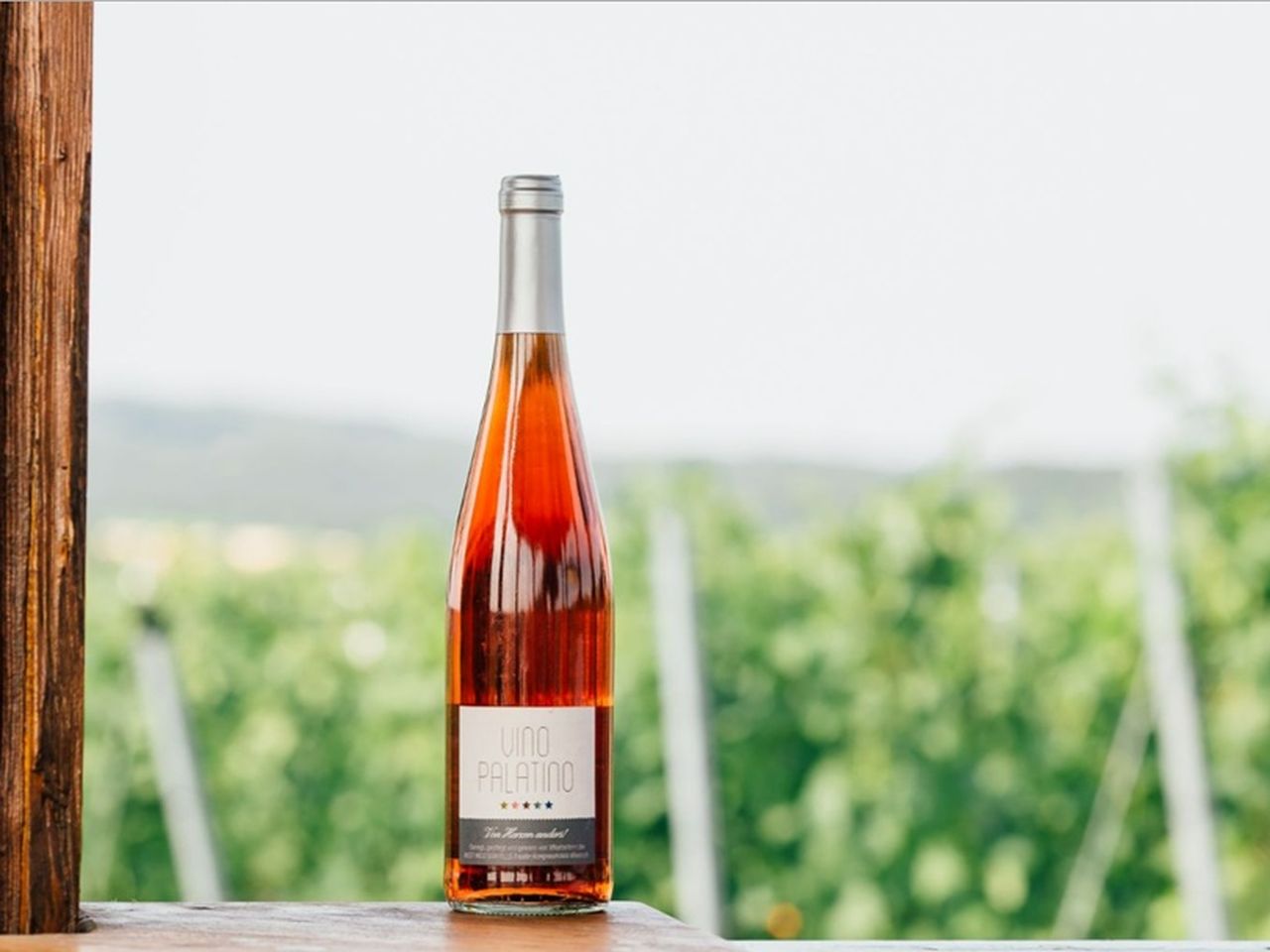 Wandererlebnis Rhein-Neckar – Weinberge & Entspannung