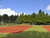4 Tage im Herzen der Veluwe