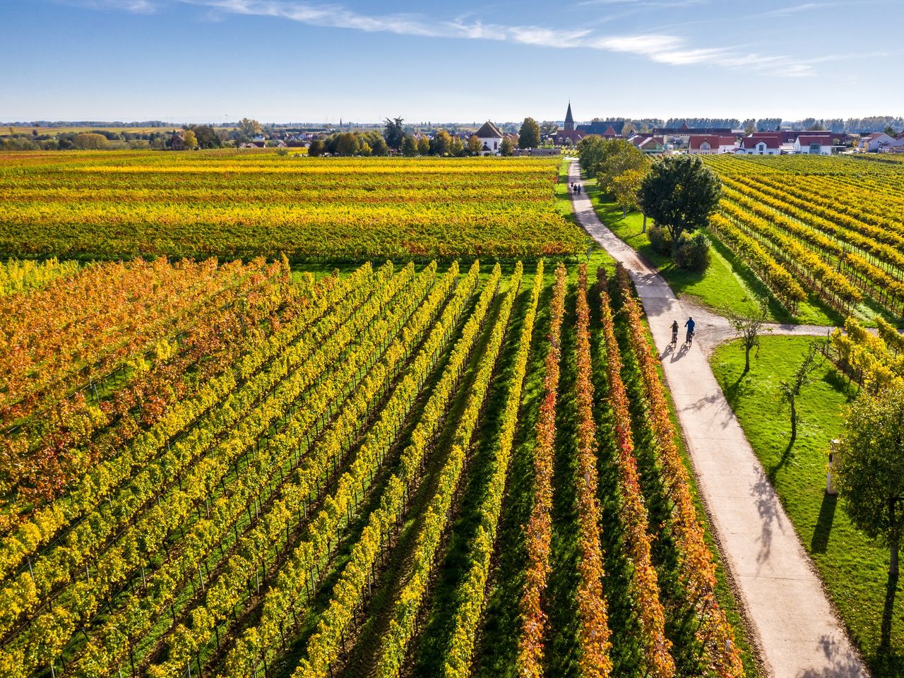 Entspannung & Genuss in der Pfalz (3 Tage)