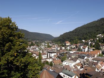 Bild 11 von 16