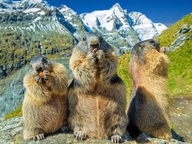 3 Tage Wanderlust im Nationalpark Hohe Tauern