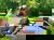 5 Tage Wellnessurlaub mit THERMEplus-Paket
