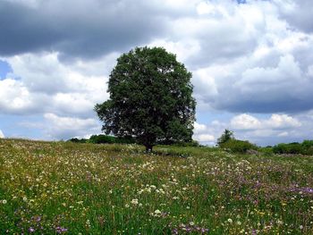 Wanderlust in der Rhön / 5 Tage