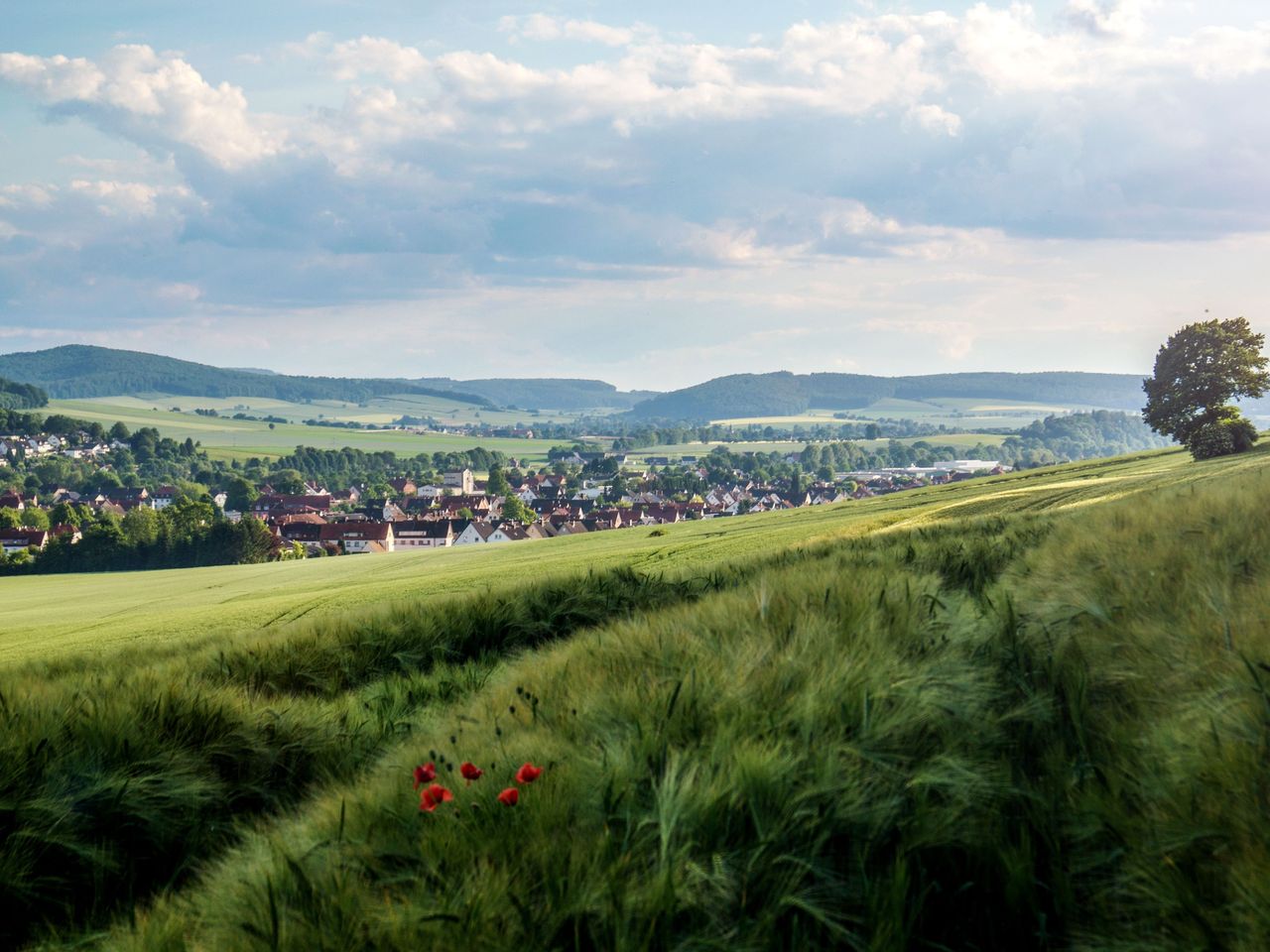 Rattenfänger-Auszeit an der Weser I 3 Nächte