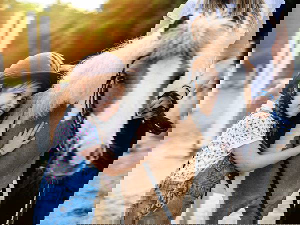 4 Tage im Thüringer Wald: Reitausflug in purer Natur in Lauscha, Thüringen