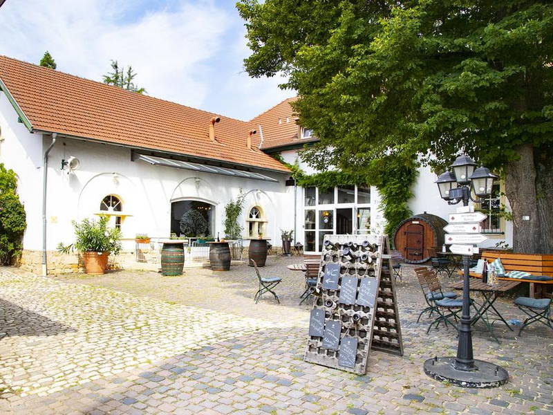 Weinpatenschaft in der Pfalz - Wochenendspecial