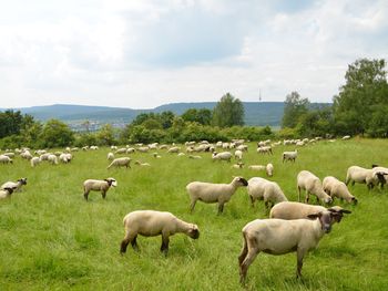 Weihnachten 2025 im Teutoburger Wald (23.-27.12.2025)