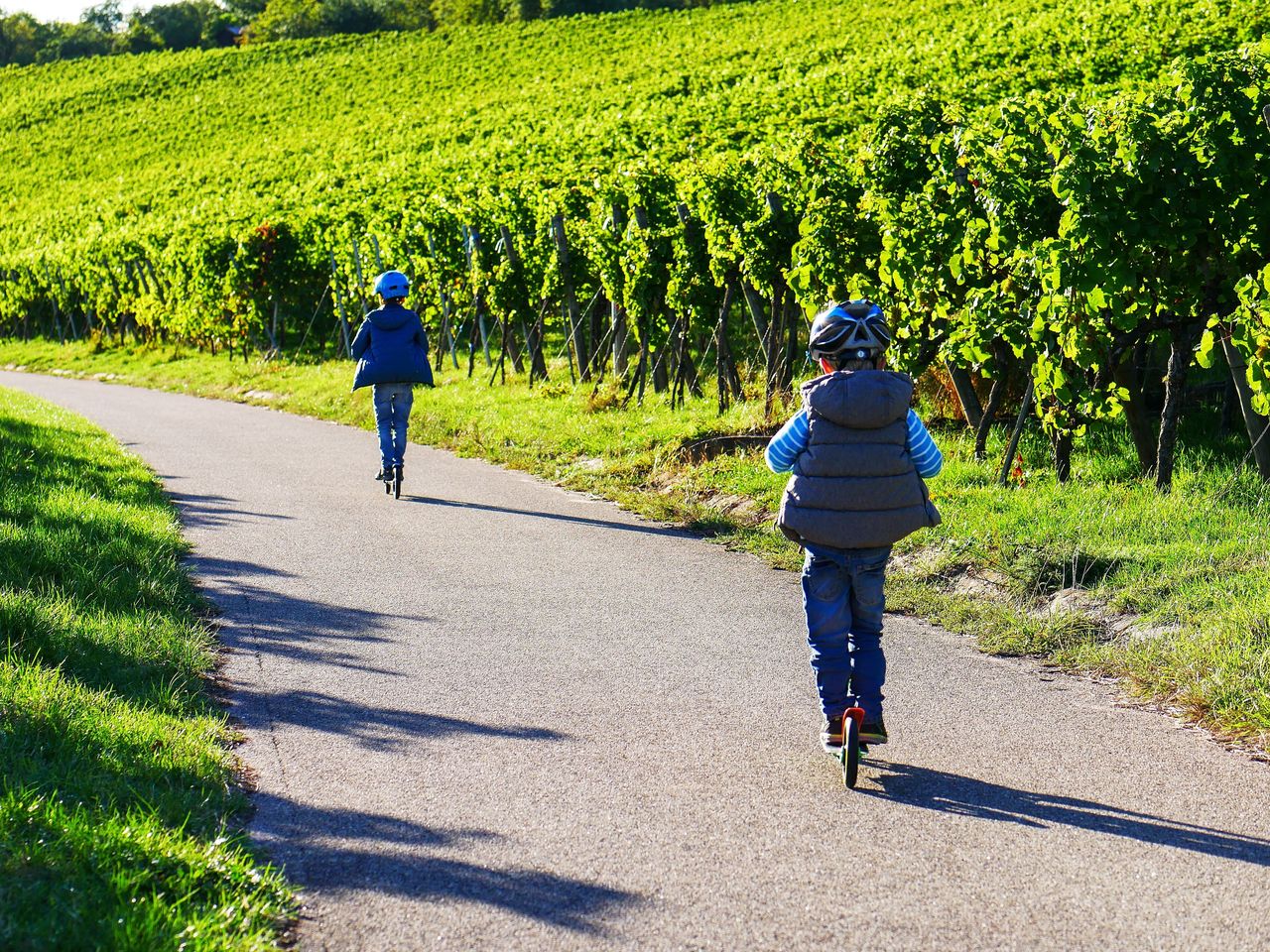 6=5 Wein - Genuss - Tage am Kaiserstuhl