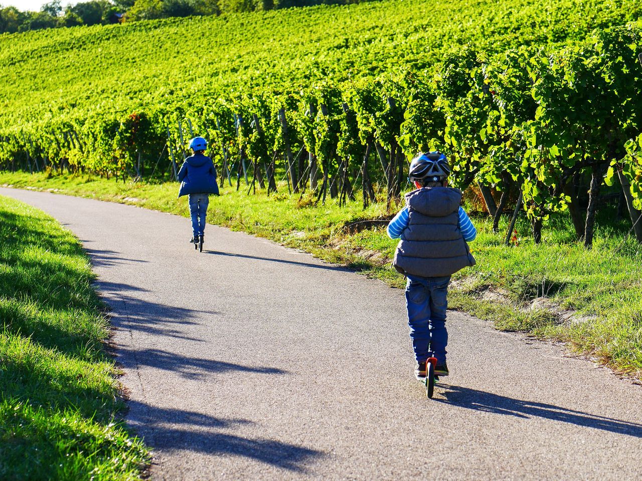 Kurzurlaub im Weinparadies Kaiserstuhl