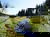 Hot Stone Relax Days - Heiße Wellness inkl. HP Plus